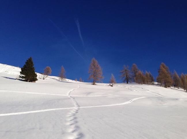 Appartamento Saslonch 21 Moena Buitenkant foto